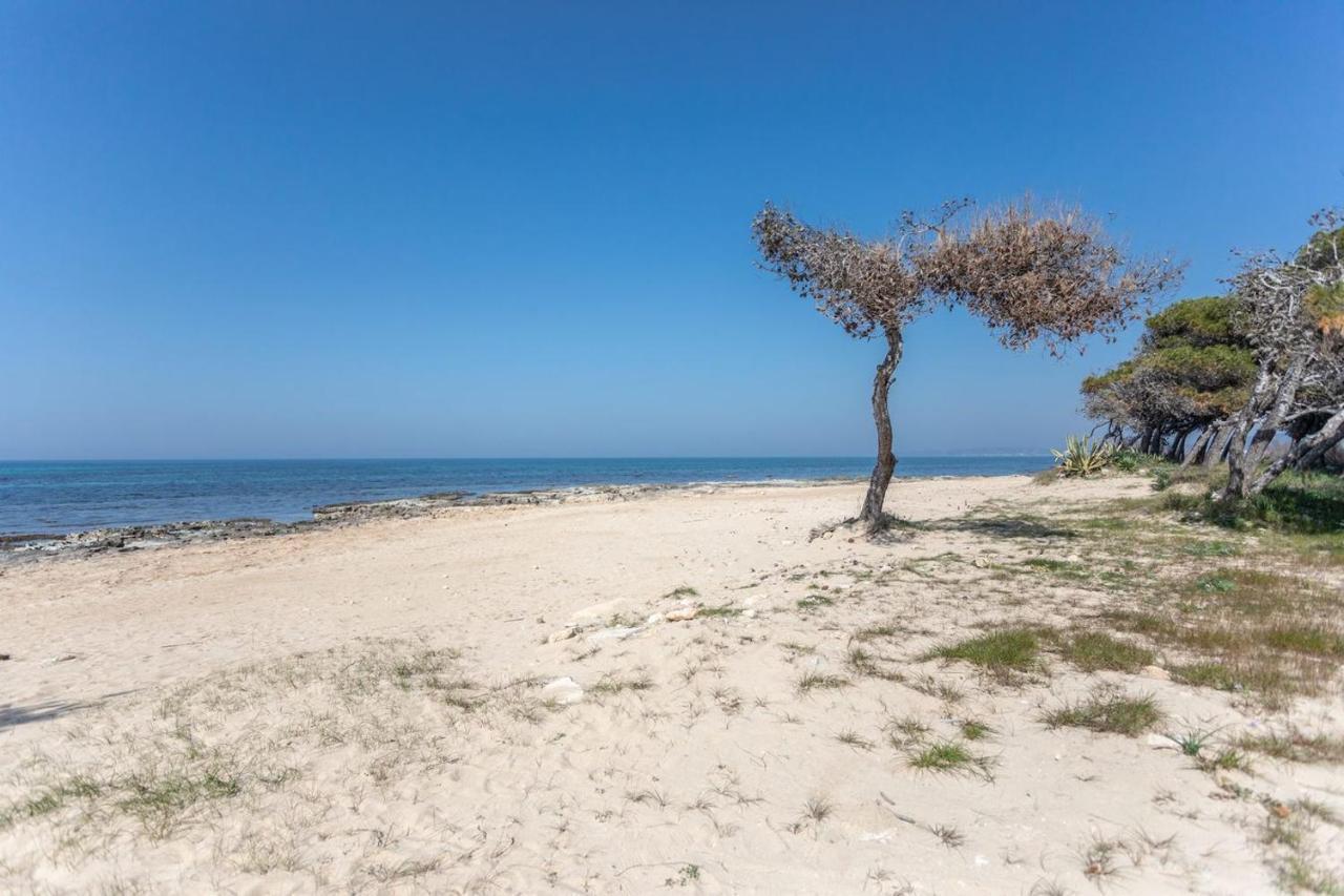 Casa Trentapassi Rivabella 2-6 Posti Letto
